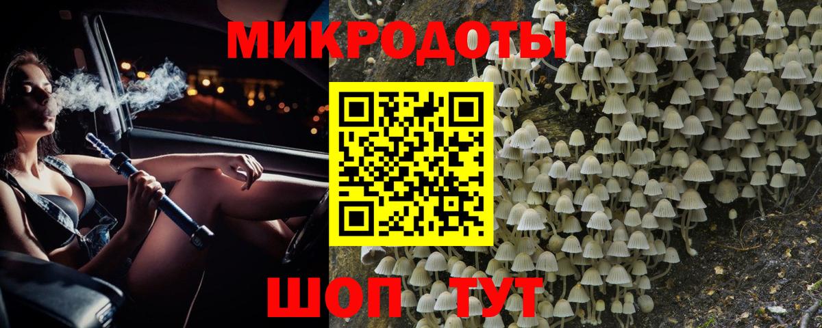 Псилоцибиновые грибы прущие грибы  Вход с VPN  Тулун  Галлюциногенные грибы прущие грибы 